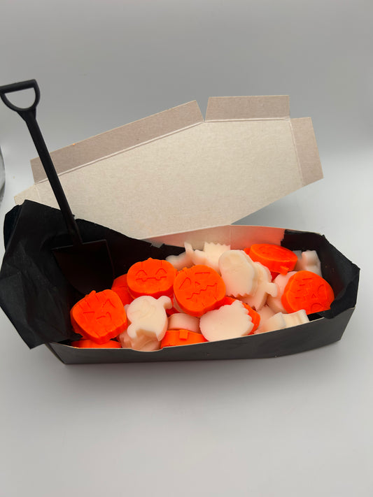 Halloween Coffin